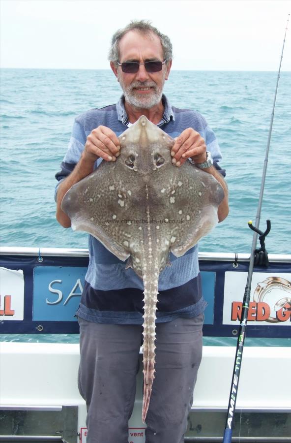 10 lb 8 oz Thornback Ray by Kevin Clark