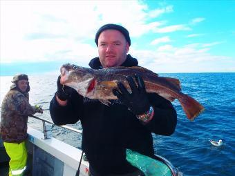 4 lb Cod by Unknown