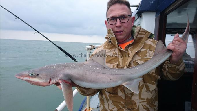 8 lb 5 oz Starry Smooth-hound by Harry from Maidstone