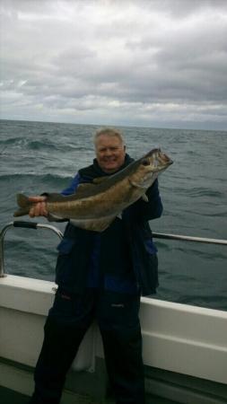 15 lb 8 oz Pollock by Phil