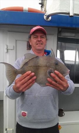 3 lb 4 oz Trigger Fish by Gill