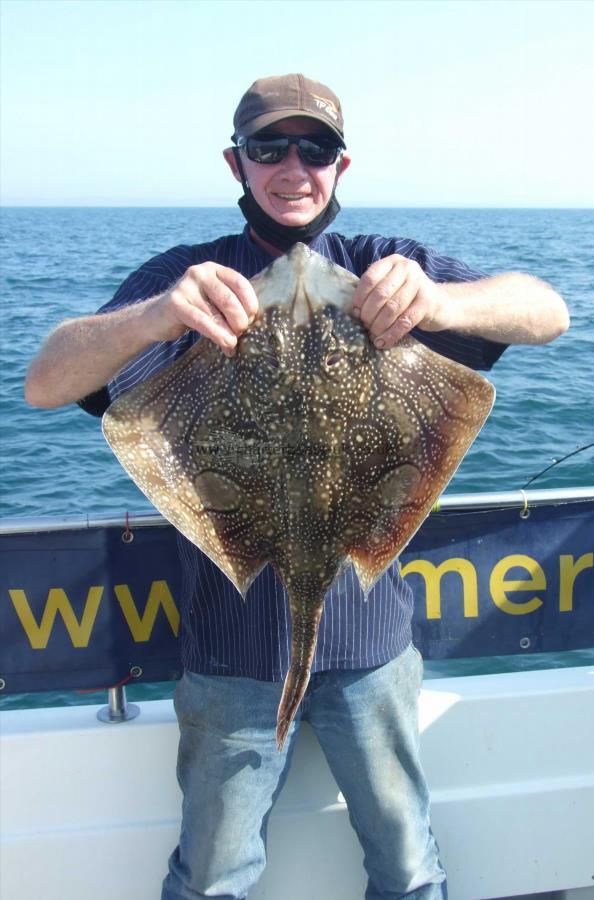 12 lb Undulate Ray by Will  Smith