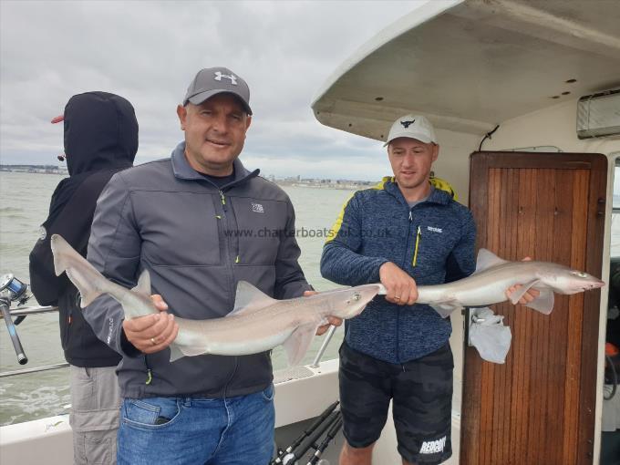 8 lb Smooth-hound by Bob Marshall