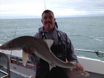 13 lb Starry Smooth-hound by Billy Short