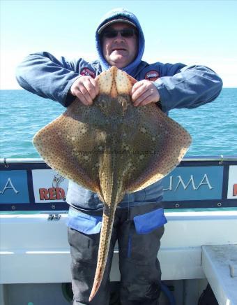 11 lb 10 oz Blonde Ray by Stephan Attwood