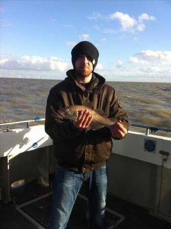 2 lb 8 oz Cod by Unknown