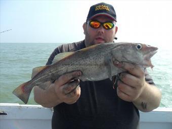 3 lb Cod by Unknown