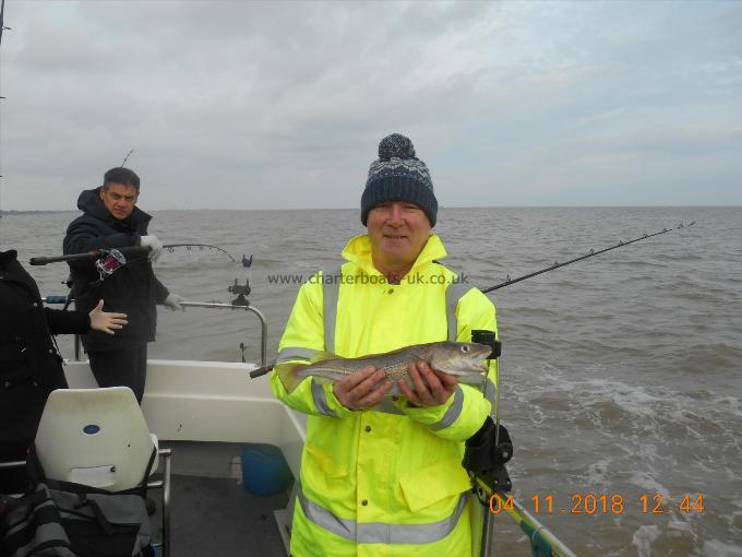 2 lb Cod by Noddy