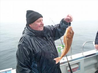 3 lb Tub Gurnard by Steve on a rainy day