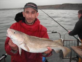 6 lb 8 oz Cod by Darren from Lincolnshire