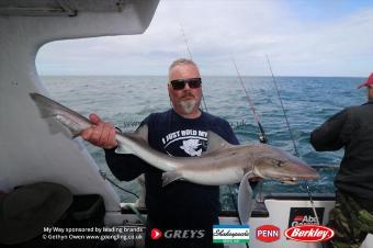 15 lb Starry Smooth-hound by Graham