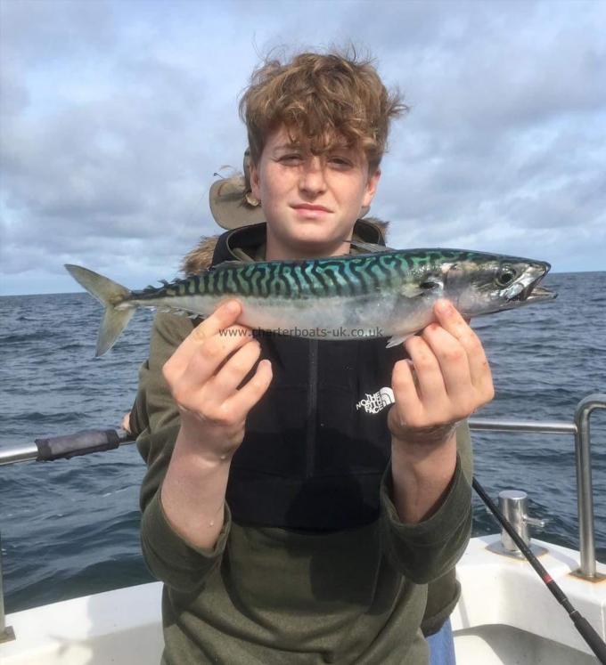 1 lb Mackerel by Lennon