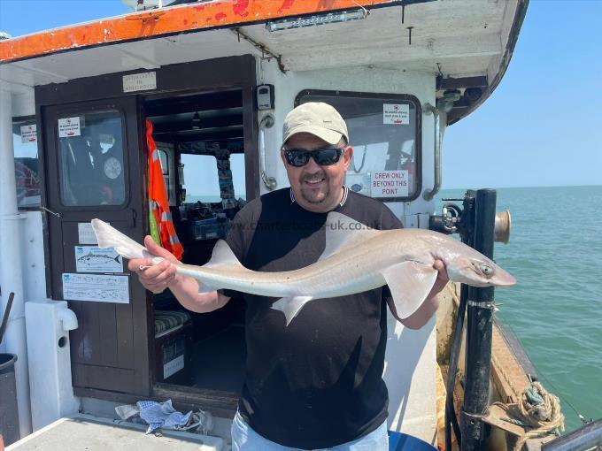 6 lb Smooth-hound by Unknown