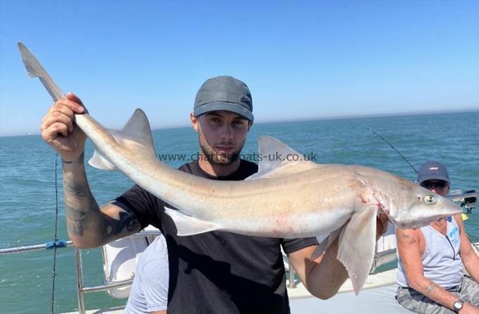 16 lb Smooth-hound (Common) by Unknown