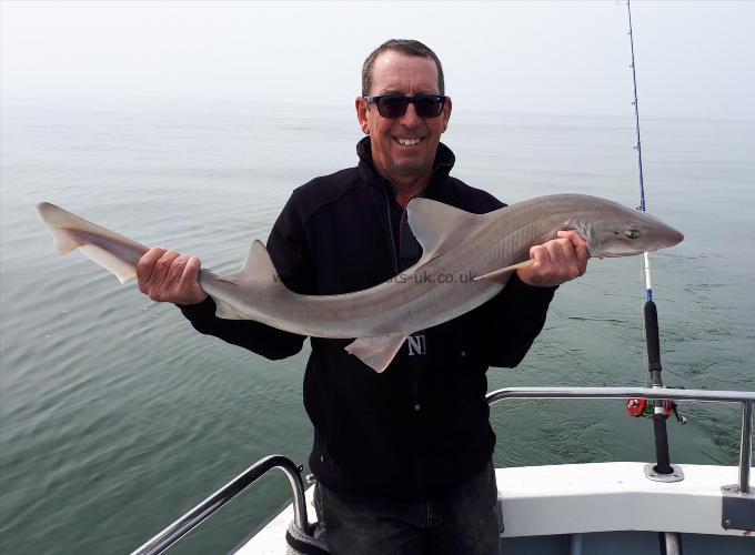 15 lb 8 oz Smooth-hound (Common) by Richard Foulds