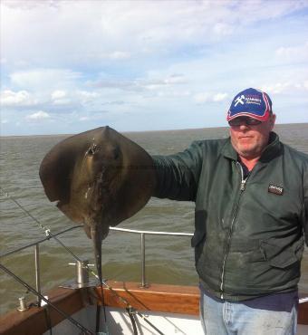 8 lb Stingray (Common) by Unknown