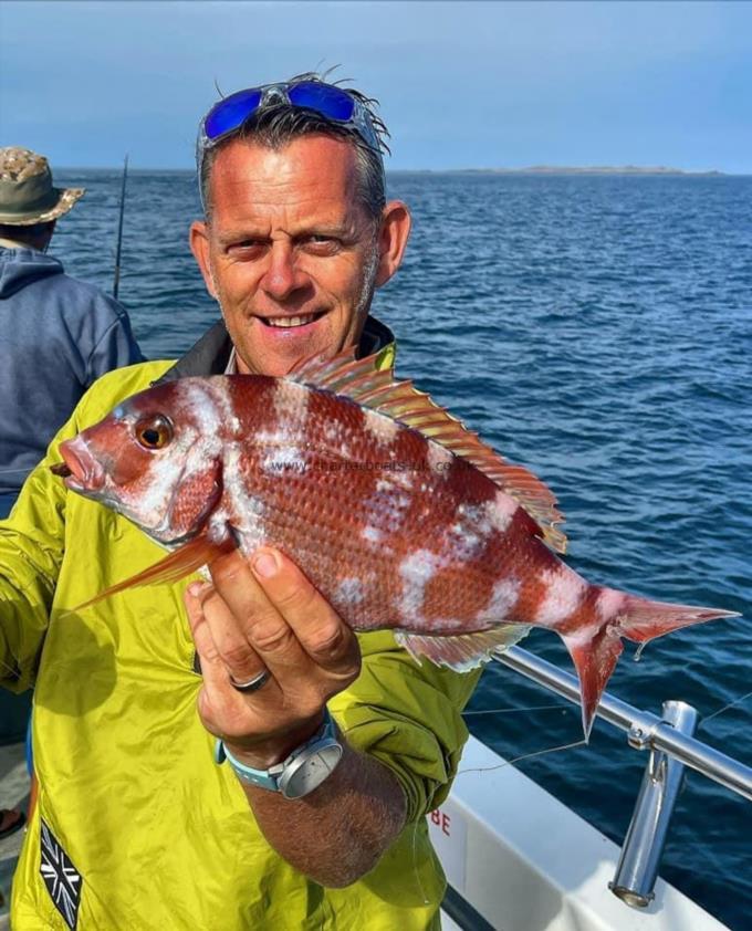 2 lb Couch's Sea Bream by Matt