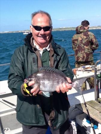 2 lb 10 oz Black Sea Bream by Bob o'shea