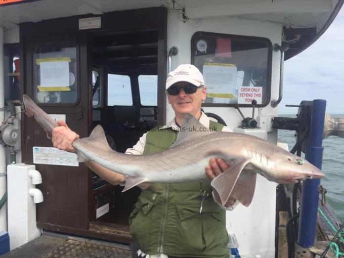 14 lb Smooth-hound by Unknown