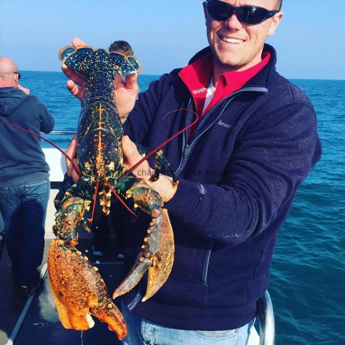 5 lb Lobster by Unknown