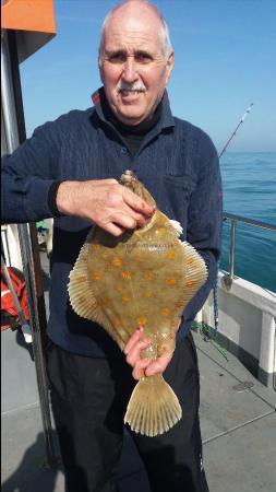 3 lb 4 oz Plaice by Unknown