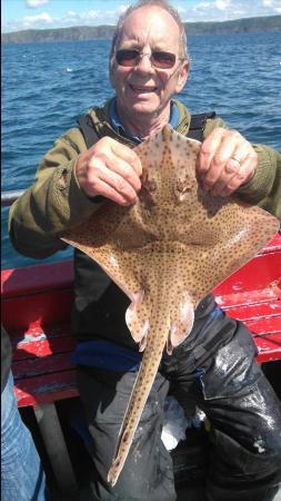 3 lb 11 oz Spotted Ray by ron