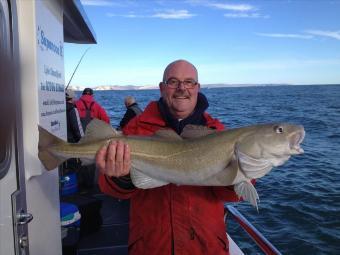 14 lb Cod by Steve Dixon
