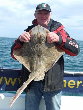 10 lb 8 oz Undulate Ray by Luie Riva