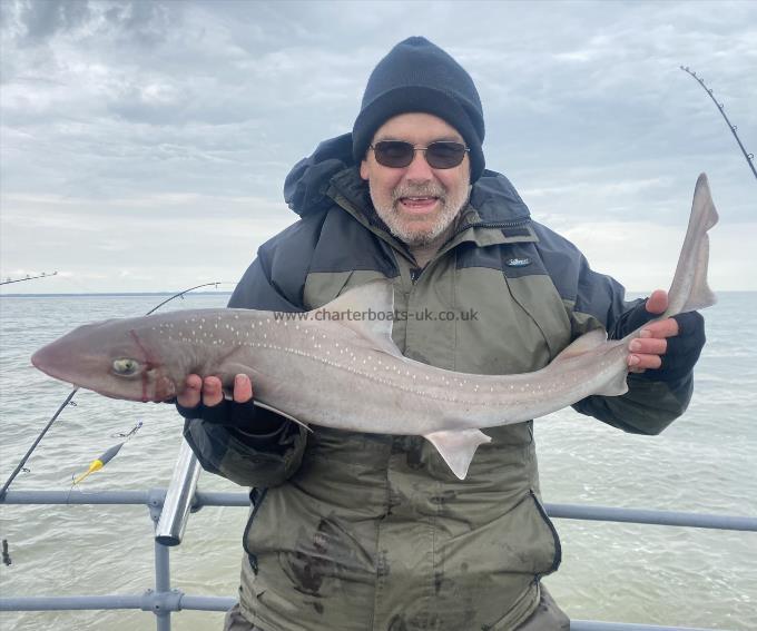 8 lb Smooth-hound by Unknown