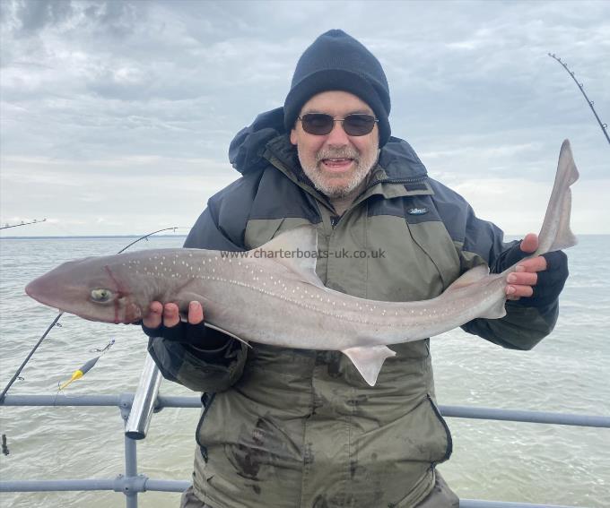 8 lb Smooth-hound (Common) by Unknown