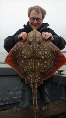 17 lb 3 oz Thornback Ray by John's Party