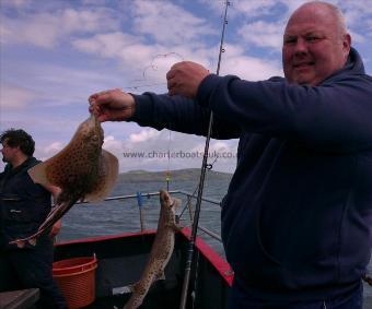 2 lb Spotted Ray by Unknown