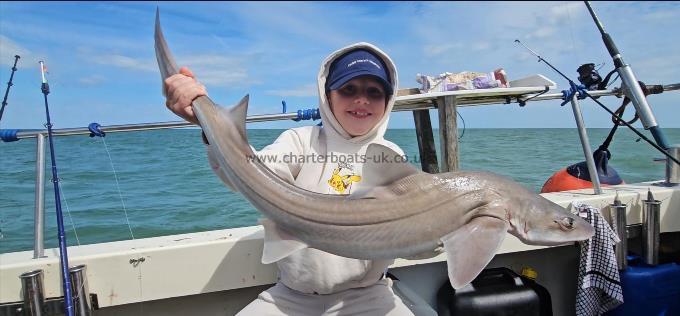 10 lb Smooth-hound by Oscar