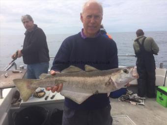 7 lb Pollock by Mike Hansell