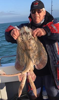 12 lb 8 oz Undulate Ray by Peter Hellyar