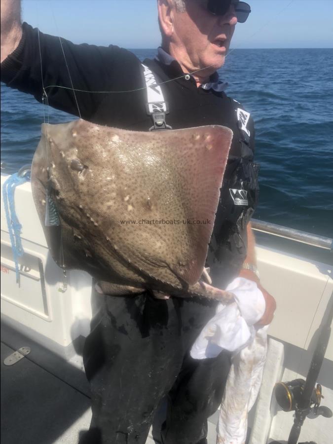 10 lb Thornback Ray by Unknown