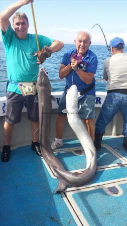 52 lb Conger Eel by don
