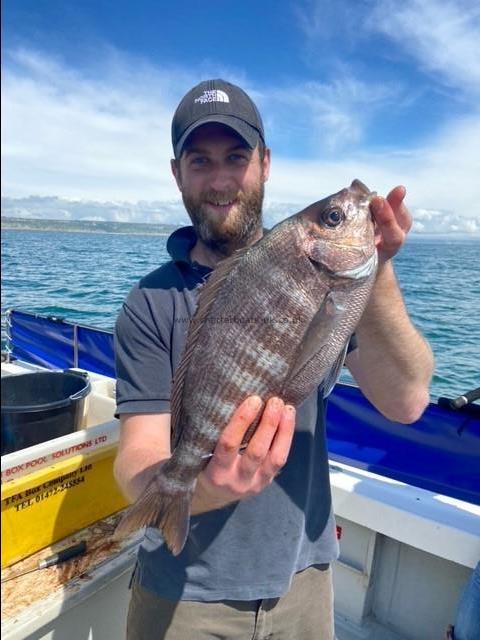 3 lb 2 oz Black Sea Bream by Unknown