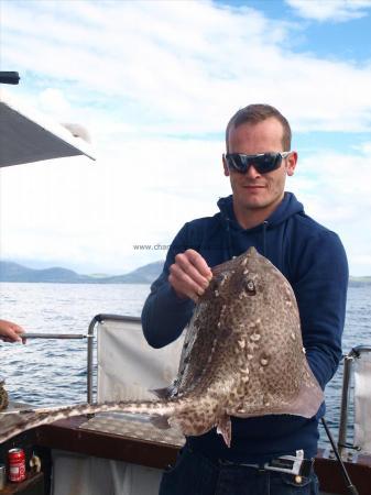 8 lb 2 oz Thornback Ray by Unknown