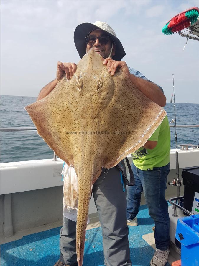 22 lb Blonde Ray by Jj