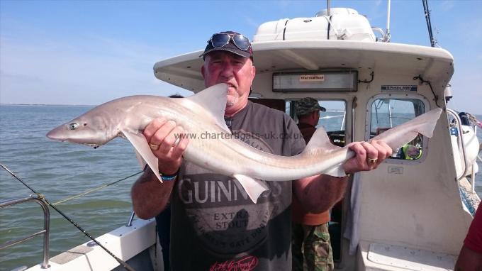 12 lb 8 oz Smooth-hound (Common) by Bob Marshall