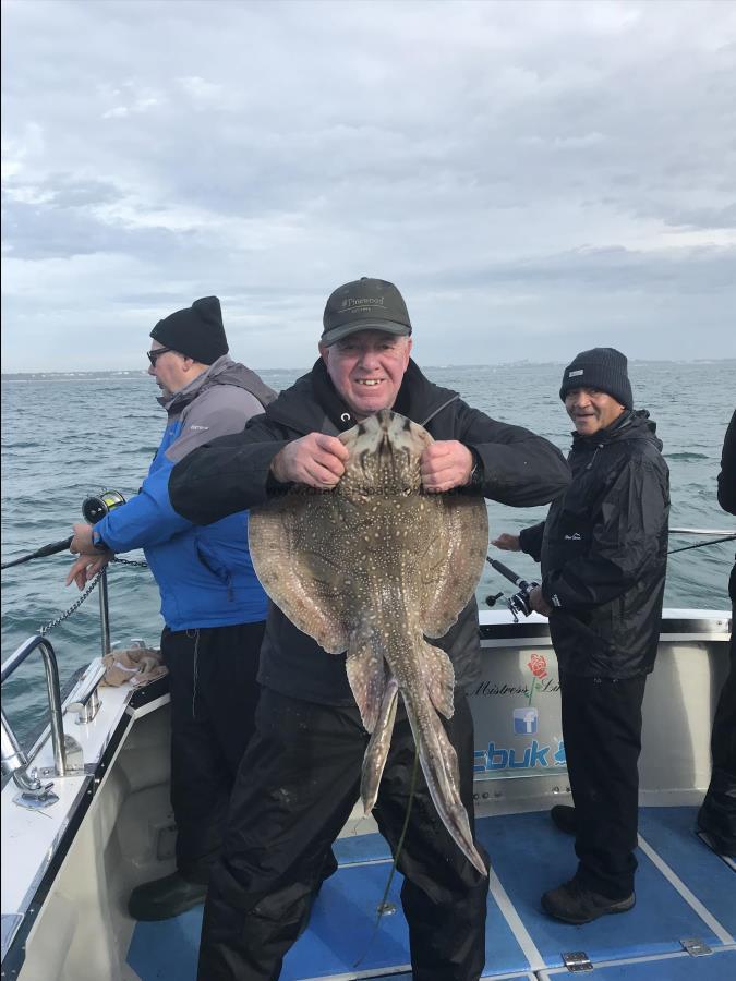 10 lb Undulate Ray by Unknown