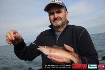 1 lb Cuckoo Wrasse by Billy