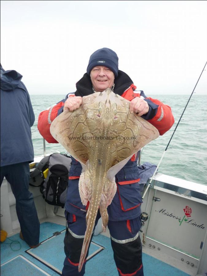 14 lb Undulate Ray by Pete Evans