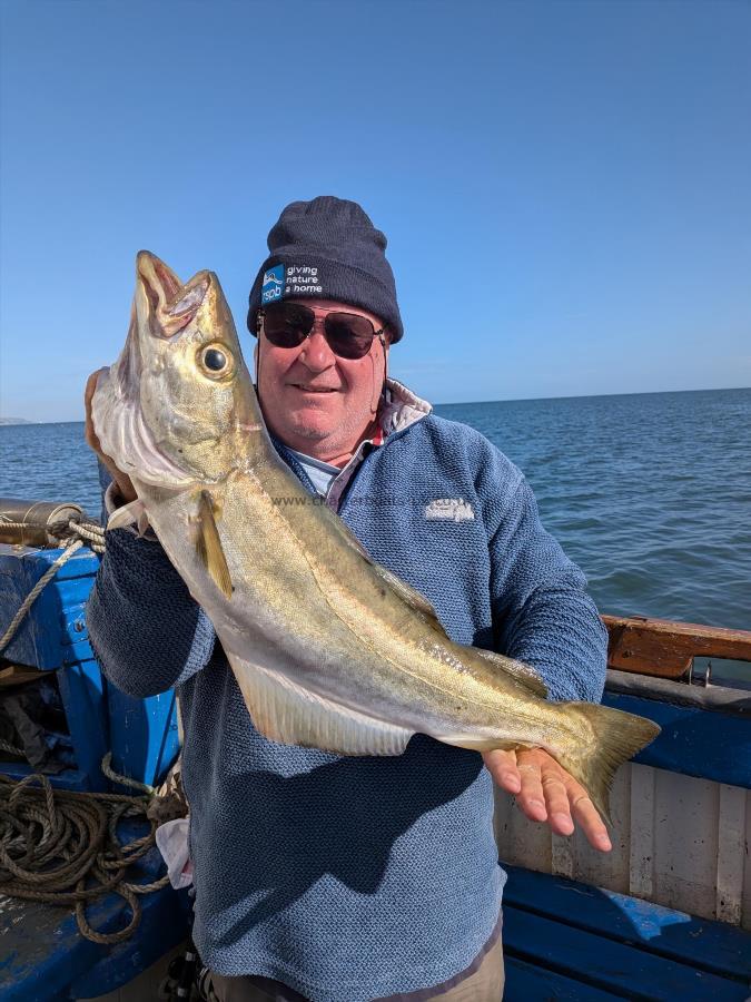 5 lb 3 oz Pollock by Unknown