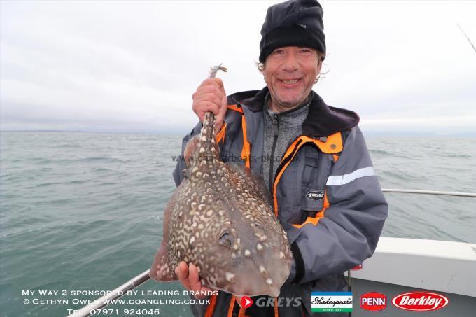 5 lb Thornback Ray by Mick