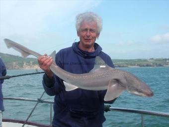 14 lb 10 oz Starry Smooth-hound by Ian Burrett