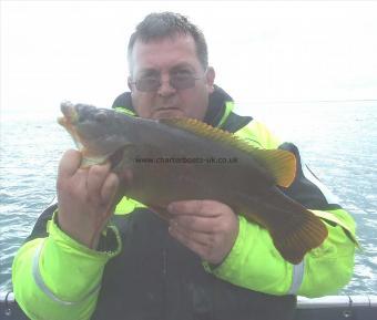 4 lb 8 oz Ballan Wrasse by Stephan Attwood