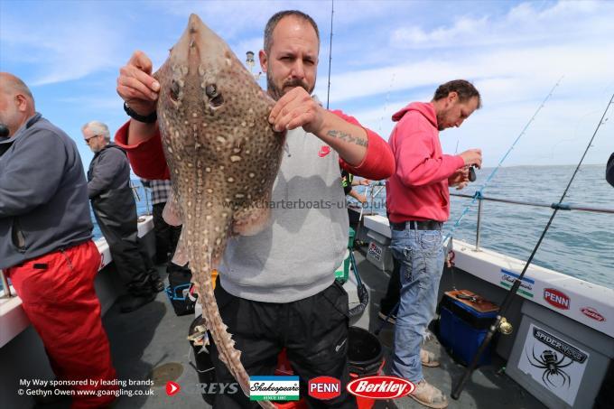 7 lb Thornback Ray by Robo