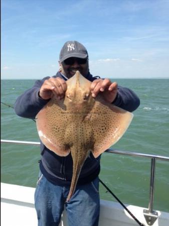 3 lb Spotted Ray by Unknown